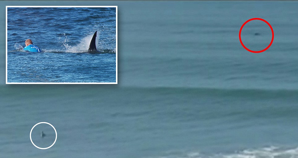 Peselancar Mick Fanning Nyaris Tewas Diserang Hiu